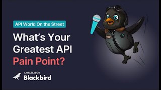 API World Greatest API Pain Points in 2024 [upl. by Yrad]