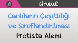 Canlılar Dünyası  Protista Alemi [upl. by Eirena]