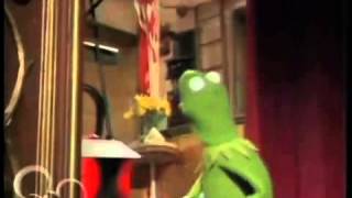 Kermit the Frog Freaks Out [upl. by Wit]