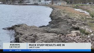 Officials announce testing of mysterious muck on shoreline of Lake St Clair [upl. by Galasyn551]