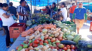 FEIRA LIVRE NA CIDADE DE CARNAUBAL CEARÁ DIA 26042024 [upl. by Rehpotisrhc]