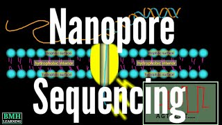 Nanopore Sequencing  Nanopore Technology [upl. by Bluma]