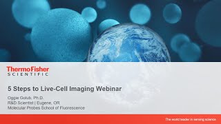 Best practices 5 steps to livecell imaging [upl. by Jimmie221]