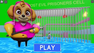 PAW PATROL SKYE BARRYS PRISON RUN WATER roblox obby [upl. by Rentschler]