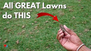 How to Aerate Your Lawn to Get Ahead of the Competition [upl. by Ernesto]