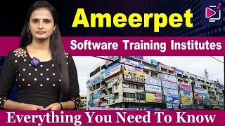 Ameerpet Software Training Institutes  Everything You Need To Know [upl. by Richarda]