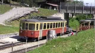 BLM Railcars 31 and 23 crossing in Winteregg [upl. by Nivre127]