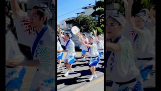 【東京新のんき連】 晴れ渡った美しい秋空の下、背筋伸ばしつま先立て腰をぶらさず明るく踊るのんき調の流し踊りが清々しい！東京新のんき連 柿岡城まつり 阿波おどり 祭り まつり 20241117 [upl. by Hartley]