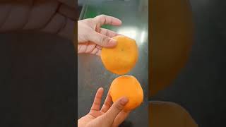 What you call this juicy fruit 🤔orange संत्री shorts [upl. by Anirahs253]