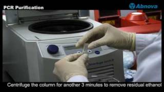 PCR Purification [upl. by Carri]