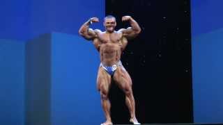 Alexey Lesukov Posing at Arnold Classic Europe Pro 2013 [upl. by Evot476]