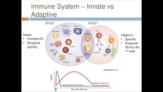 IMMUNOLOGY II INNATE HUMERAL AND CELL MEDIATED IMMUNITY [upl. by Eleumas]