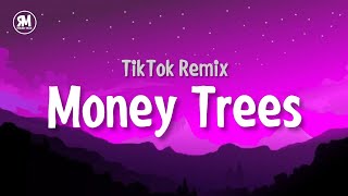 Money Trees TikTok Remix [upl. by Emixam]