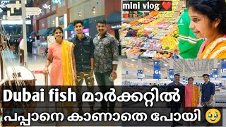 Dubai Fish മാർക്കറ്റിൽ പപ്പാനെ കാണാതെ പോയി 🥹🥹 [upl. by Niawtna]