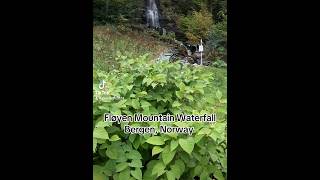 Fløyen mountain waterfall bergen norway norway bergen waterfall hiking [upl. by Evander]