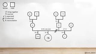 How to draw a genogram [upl. by Jardena]