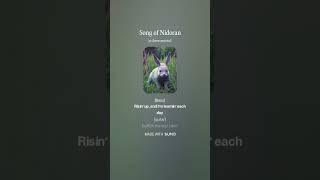 Song of Nidoran [upl. by Asirap]