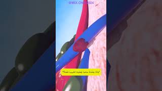 Blown Veins 😨 Explained 💉 quotمَاذَا يَحْدُثُ عندما يُعطيكَ الطَّبيبُ حُقنةً؟quot 💉 [upl. by Innig7]