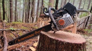 Cutting Timber Compilation [upl. by Karola]