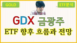 GDX 금광주  금 GOLD ETF 향후 흐름과 전망 [upl. by Anidem48]