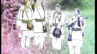 Ilija i Marko Begic  Derventski Zvuci  KUD Seljacka Buna  Video 1984 [upl. by Fontana]