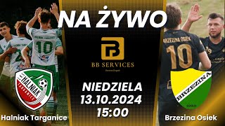 NA ĹťYWO Halniak Targanice vs Brzezina Osiek  13102024  KO Wadowice  20242025 [upl. by Marvin]