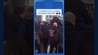 I TIFOSI DELLA CURVA A DEL NAPOLI E GLI ULTRAS DEL CATANIA CANTANO INSIEME 💙🤝🔴🔵 napoli catania [upl. by Elvina]