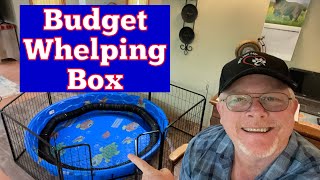 Whelping Box On A Budget How To Make A Dog Whelping Box DIY [upl. by Denice]