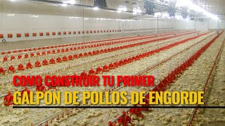 Como Construir tu Primer Galpon de Pollos de Engorde [upl. by Yoc]