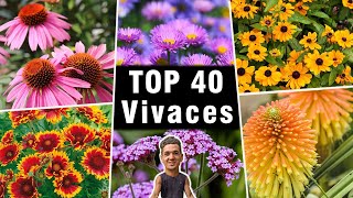 Mes Plantes VIVACES Préférées  😍 TOP 40 [upl. by Almeta447]