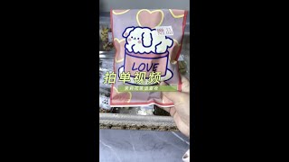 Hamster Snack Pack ASMRSatisfactory pet food restockingPet Storage ASMR [upl. by Aicac976]