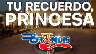 Tu Recuerdo Princesa  Grupo Bryndis Video Oficial [upl. by Egin]