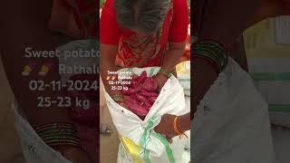 Sweet potato 🍠🍠 Rathalu today bowenpally vegetable market farmersmarket streetfood dty vlogs plz [upl. by Base528]