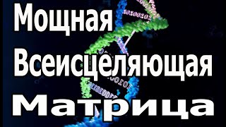 Попробуйте послушать в течение 15 минут сразу подействует ☀️ Мощная Всеисцеляющая Матрица Гаряева [upl. by Ecinej]