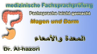 Magen und Darm  medizinische Fachsprache leicht gemacht المعدة والأمعاء [upl. by Garges794]