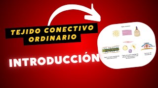 TEJIDO CONECTIVO ORDINARIO [upl. by Magner]