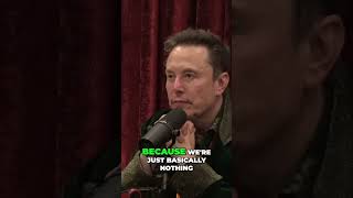 Elon Musk Reflects on the Fragility of Civilization  Joe Rogan Podcast elonmusk [upl. by Keever911]