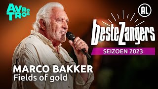 Marco Bakker  Fields of gold  Beste Zangers 2023 [upl. by Zeralda]