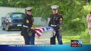 Monument honors famous WWI war dog Stubby [upl. by Aholla]