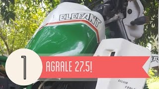 Tonella  Agrale 275 do Alexandre Brunelli 01 [upl. by Sethi801]