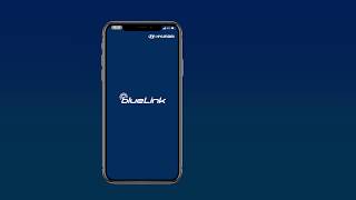 Hyundai BlueLink App [upl. by Ithsav]