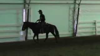 How to Stop Horse Bucking Part 3 Mike Hughes Auburn California [upl. by Brass]