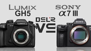 Panasonic Lumix GH5 vs Sony alpha a7 III [upl. by Mariko288]