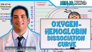 Respiratory  OxygenHemoglobin Dissociation Curve [upl. by Anneg]