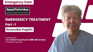 Emergency Treatment Part 1  Reversible Pulpitis  Robert Kaufmann DMD MSEndo [upl. by Erodavlas]