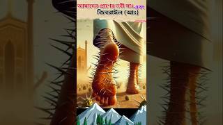 মক্কার কাটাযুক্ত রাস্তায় চড়তে ও রাজি ছিলেন কার জন্য  islamicquizshorts sortsvideo [upl. by Elleinad674]