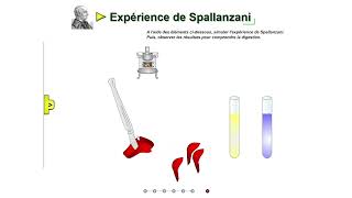 Expériences historiques de Spallanzani [upl. by Demakis]