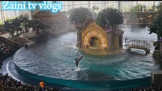 Dolfin show  Dubai life  viral videos  Tourism  entertainment  Dolfin lover’s  Zaini tv [upl. by Bibbye]