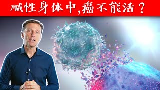 癌无法存活在碱性，真的吗？自然疗法柏格医生dr berg [upl. by Hackett782]