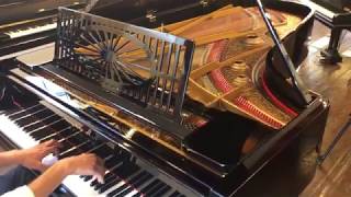 GrotrianSteinweg vleugel  Emile van Leenen Pianos [upl. by Inalem]